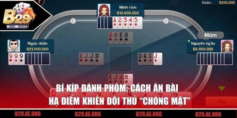 Bí Kíp Đánh Phỏm: Cách Ăn Bài Và Hạ Điểm Khiến Đối Thủ “Chóng Mặt”