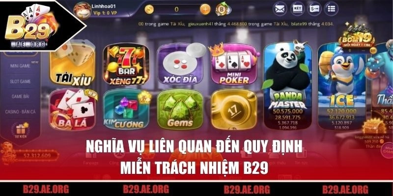 Nghĩa vụ liên quan đến quy định miễn trách nhiệm B29 