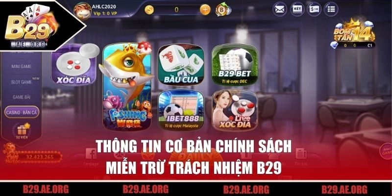 Thông tin cơ bản chính sách miễn trừ trách nhiệm B29 