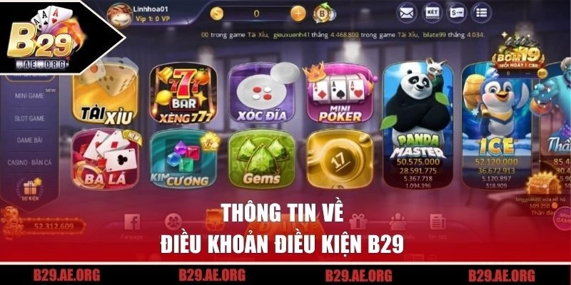 Thông tin về điều khoản điều kiện B29 