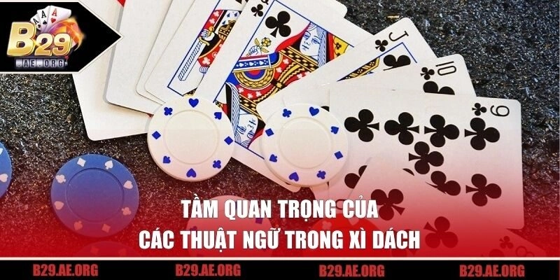 Tầm quan trọng của các thuật ngữ trong xì dách
